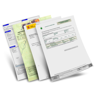 Presupuesto instantáneo de tu traducción jurada
